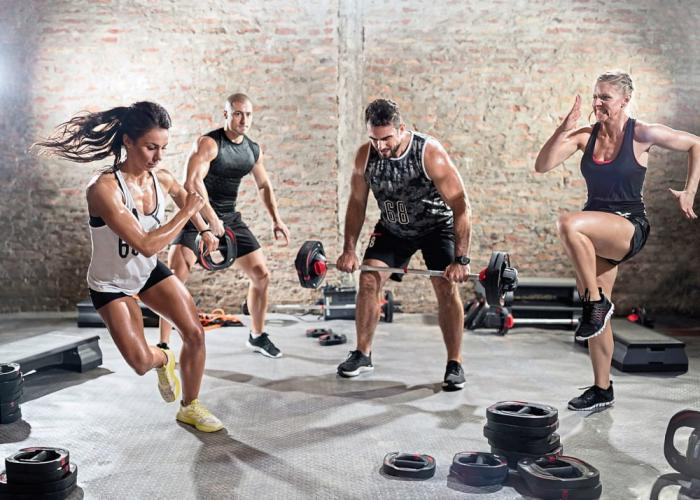 Zomerfit worden bij fysiotherapie met gezellige training in het Westland</p>
<p>